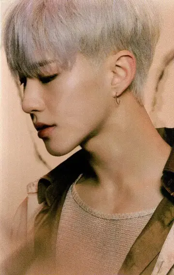 SEVENTEEN HOSHI Spider 4