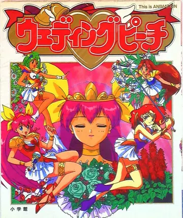 소학관 THIS IS ANIMATION 웨딩피치