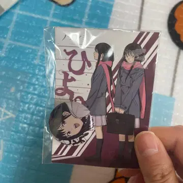 노라가미 밤 캔뱃지 컬렉션