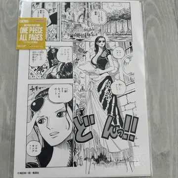 ONE PIECE BASE SHOP ALL PAGES 로빈