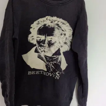 [ 분위기 최고 ] 베토벤 초상 프린트 트레이닝복 가지색