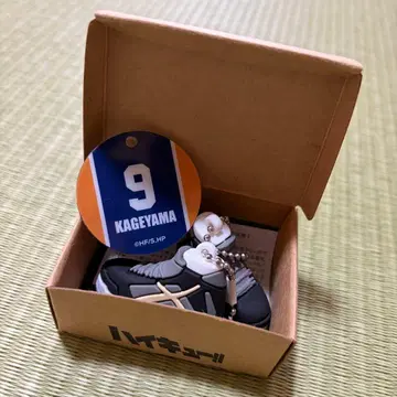 하이큐!! 미니어처 신발 컬렉션 카게야마 토비오