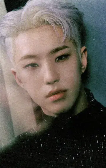 SEVENTEEN HOSHI Spider 23