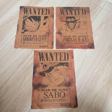 원피스 매거진 부록 수배서 3장 세트