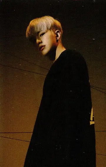 SEVENTEEN HOSHI Spider 13