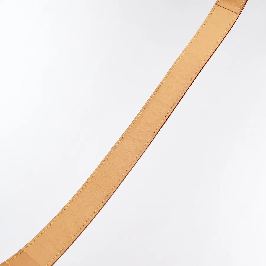 路易威登（LV）Side Trunk Monogram帆布单肩包 MM