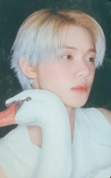 TXT 일반ver YEONJUN Starkissed C