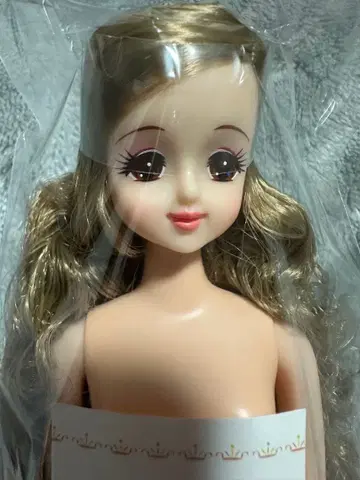 리카짱 캐슬 오타노시미 인형 초대 제니 오타노시미 인형