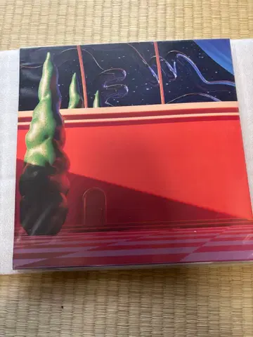 어메이징 디지털 서커스 파이롯트판 레코드