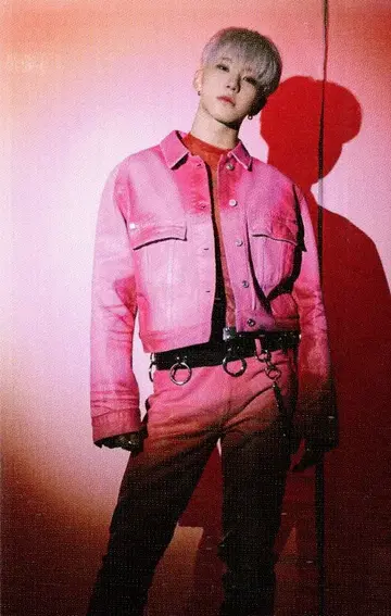 SEVENTEEN HOSHI Spider 33