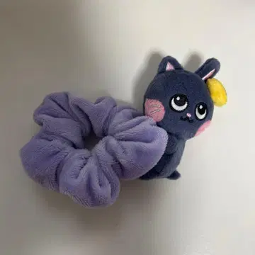 토냥덕 원빈 스크런치