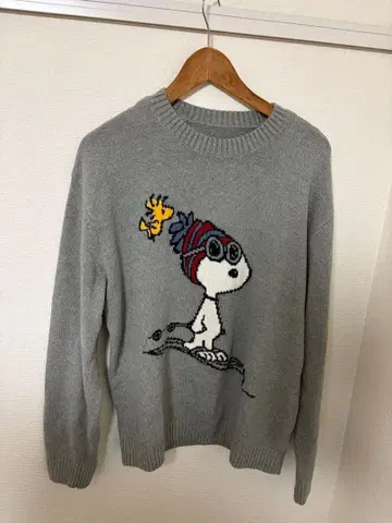 홀리스터 스누피 스웨터