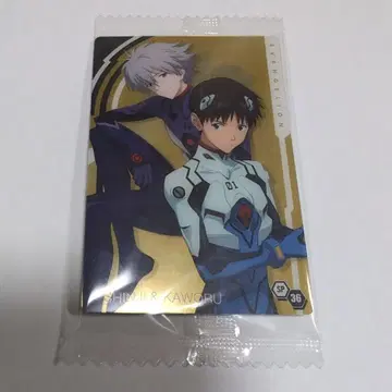 에반게리온 웨하스 카드 신지 & 카오루 카드 묶음 구매 할인