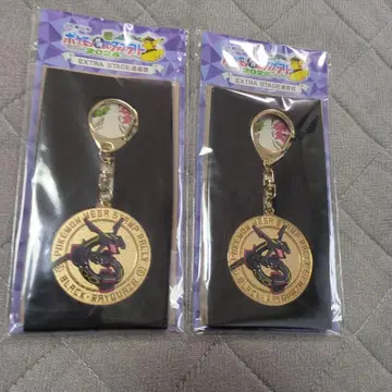 포켓몬 스탬프 랠리 JR 동일본 키링 2개 세트