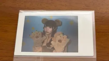 코구마 마무 생일 폴라로이드