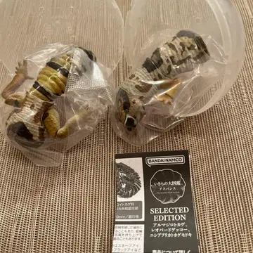 서아프리카도마뱀붙이 생물대도감 어드밴스