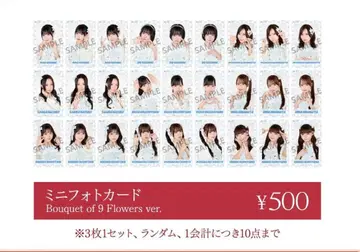 타카네노 나데시코 미니 포토 카드 컴프
