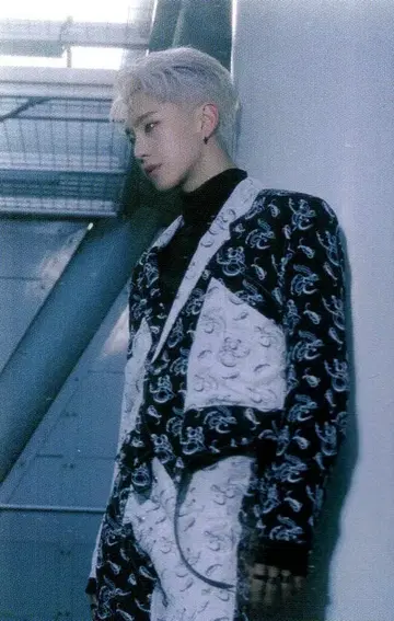 SEVENTEEN HOSHI Spider 19