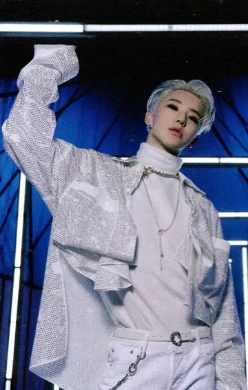 SEVENTEEN HOSHI Spider 31