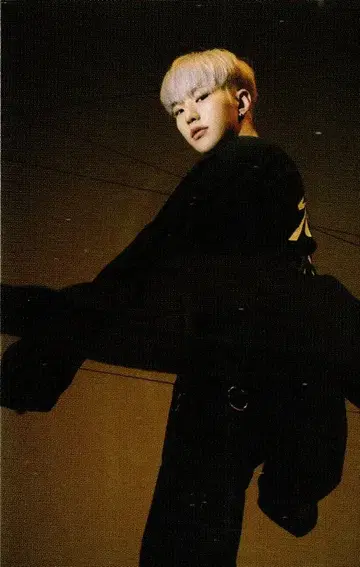 SEVENTEEN HOSHI Spider 14