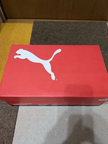 PUMA SOFT RIDE PRO 38801 푸마 신발 30.0cm