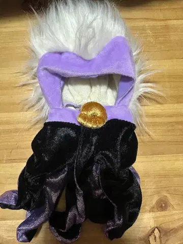 디즈니 스토어 어스슐라 유니베어시티 판초