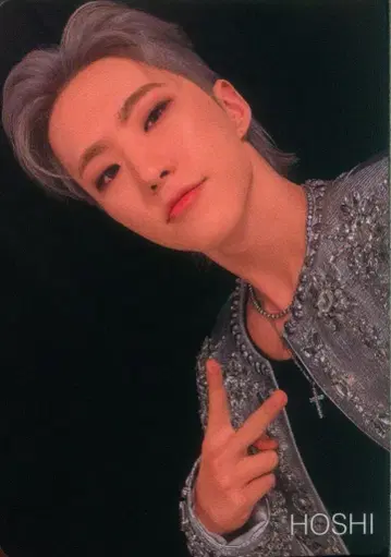 SEVENTEEN HOSHI 카라모바