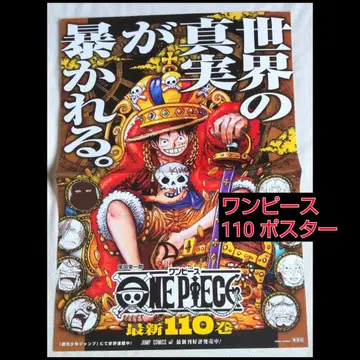 원피스 110 포스터