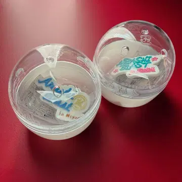 아라시 캡슐 역대 로고 마그넷 ARASHI BLAST in 하와이 미야기