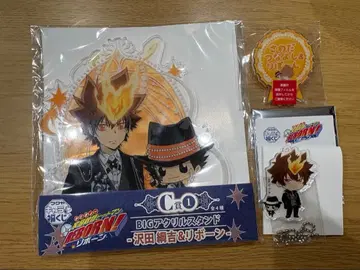 가정교사 히트맨 REBORN! 사와다 츠나요시 리본