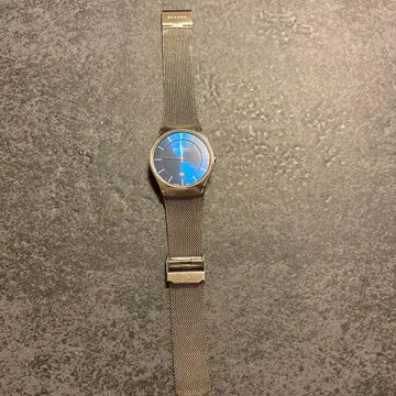 SKAGEN 티타늄 손목시계