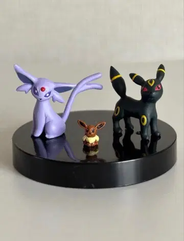 입체 포켓몬 도감 이브이 에브이 블래키