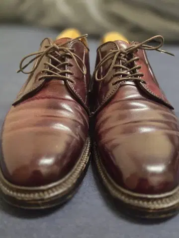 Alden 알든 990 코도반 7D