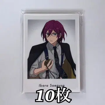 앙스타 파샤츠 이바라