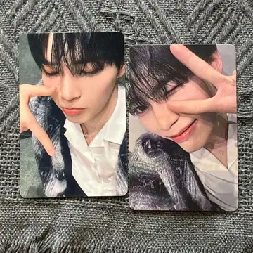 ZB1 제베원 가위바위보 이김 짐 성한빈 트레이딩 카드 2장