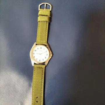 CASIO 쿼츠 손목시계 화이트/그린