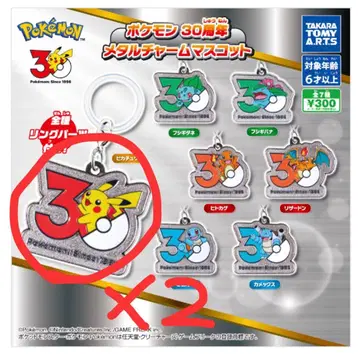 포켓몬 30주년 메탈 참 마스코트 피카츄 2개 세트