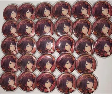 호시노 이치카 28개 묶음 판매