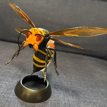 생물대도감 어드밴스 01 말벌 히메말벌