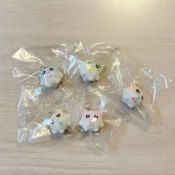 푸치코로 햄짱 플로키 참 가챠가챠 컴플리트 5개 세트