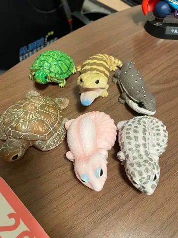 손바닥 프렌즈 파충류