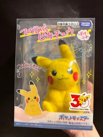 손바닥 피카츄 포케후와 포켓몬 30주년 기념