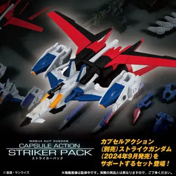 CAPSULE ACTION 캡슐 액션 스트라이커 팩