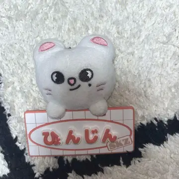 straykids jiniret 현진 네임 백참