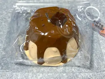 문청 스퀴즈 푸딩 WenQing Strong 코코아 쁘띠