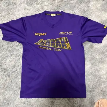 후지시로 시스이 이바라키 국체 핸드볼 T셔츠