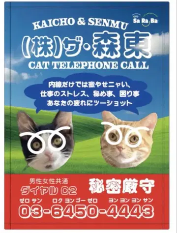 모리히가시 작별 청춘의 빛 담요