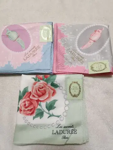 [ LADUREE 라뒤레 여성용 대형 손수건 3개 세트 ]