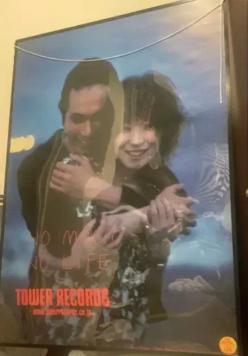 [ 2점 귀중 ] 시이나 링고 타워 레코드 포스터 새상품급