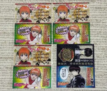 은혼 캐릭터 카드 책갈피 카구라, 히지카타